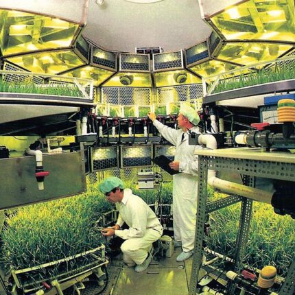 Hydroponic farming setup with controlled lighting and nutrient systems