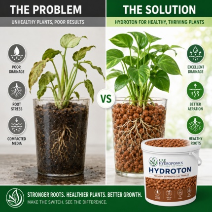 Hydroton Clay Pebbles Comparison Chart Hydroponics Growing Medium UAE Hydroponics