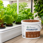 Hydroton Clay Pebbles Lifestyle Hydroponics Home Garden UAE Hydroponics