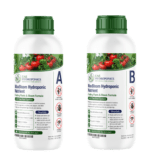 MaxGrow hydroponic nutrient solution version 3 Part A bottle, UAE Hydroponics