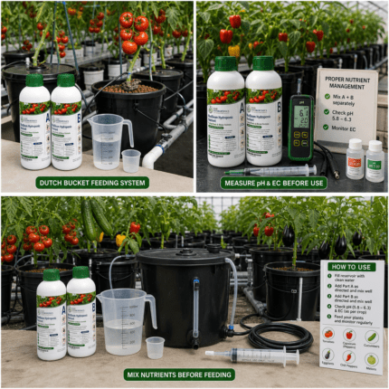 MaxBloom hydroponic nutrient solution bucket with MaxBloom label, UAE Hydroponics