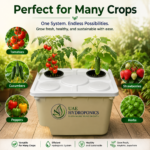 Dutch Bucket Hydroponic System UAE Buy Online Dubai Bato Bucket UAE Hydroponics