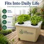 Dutch Bucket Hydroponic System UAE Setup Guide Bato Bucket UAE Hydroponics