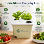 Dutch Bucket Hydroponic System UAE Commercial Growing Tomatoes Cucumbers UAE Hydroponics