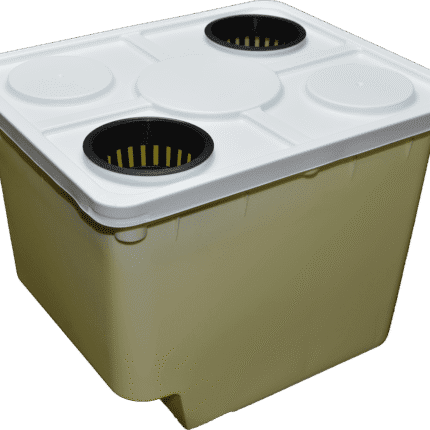 Dutch Bucket with Two-Hole Lid for Hydroponics