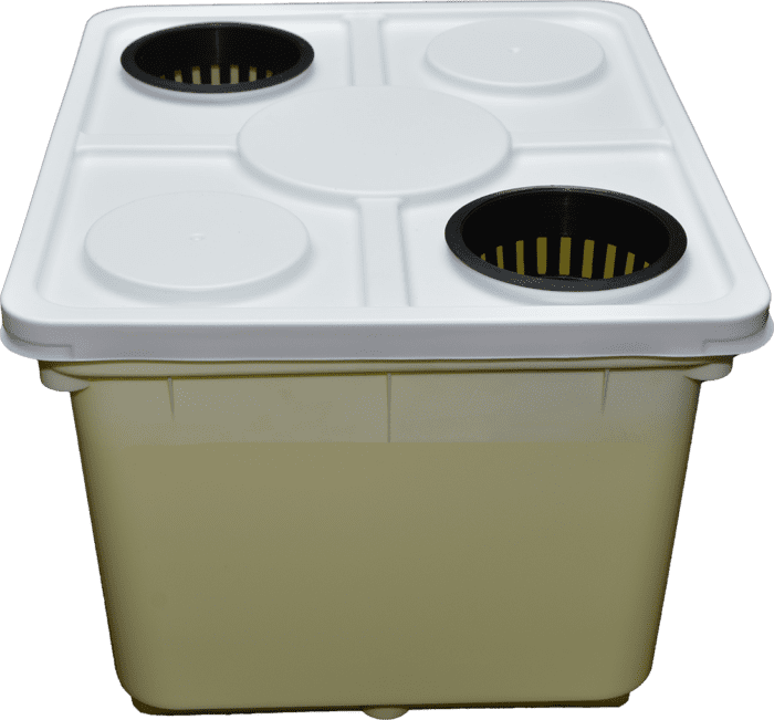 Dutch Bucket with Two-Hole Lid for Hydroponics