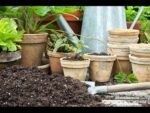 Premium Potting Soil Mix with Peatmoss, Cocopeat, and Perlite - Ideal for Indoor & Outdoor Garden Plants, General Purpose, PH Balanced Blend - Image 4