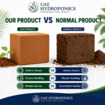 Coco peat block supporting healthy root growth for hydroponic plants – UAE Hydroponics