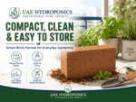Comparison of UAE Hydroponics coco peat block versus normal growing media