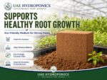 Coco peat block perfect for growing home vegetables and herbs, UAE Hydroponics