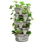 Mr. Stacky 5 Tier Stackable Strawberry, Herb, Flower, and Vegetable Planter - Vertical Garden Indoor/Outdoor