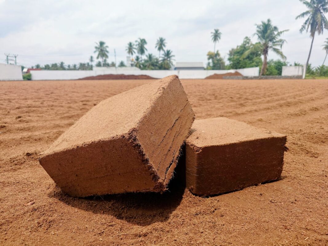Coco peat coir blocks used as hydroponic growing medium for plants
