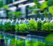 Complete Hydroponic Nutrient Recipe for UAE