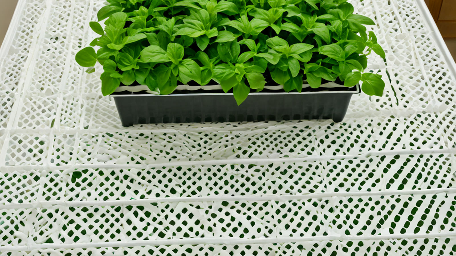 Compact hydroponic system components arranged for a UAE home setup