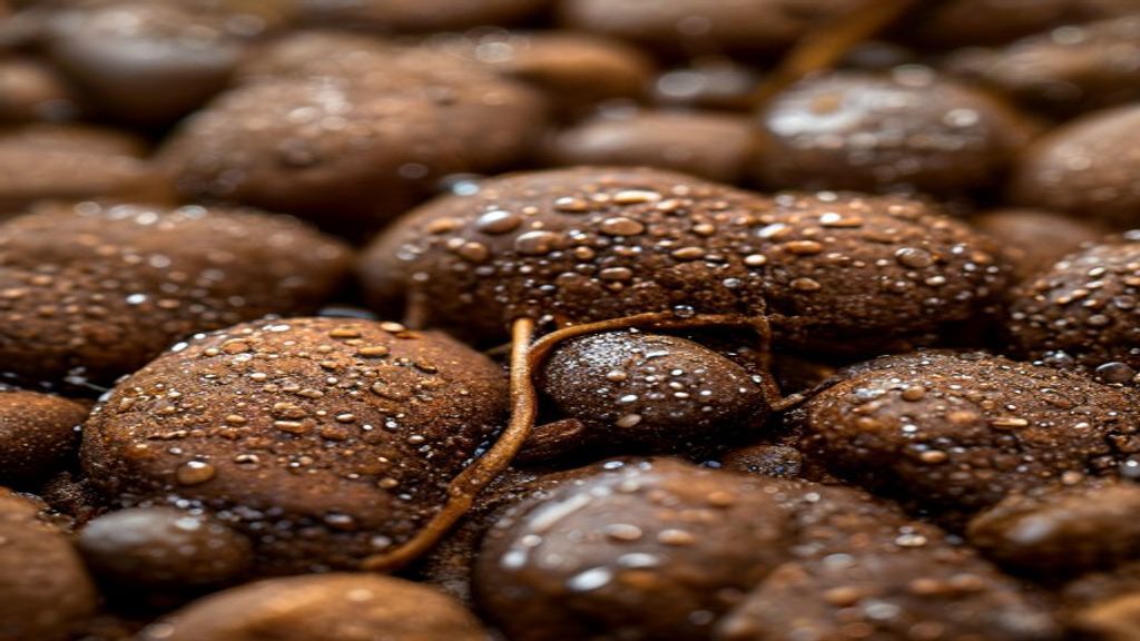 Hydroton LECA Clay Pebbles UAE — Buy Expanded Clay for Hydroponics