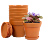 Planters & Pots