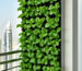 Vertical hydroponic wall and tower garden for a UAE balcony