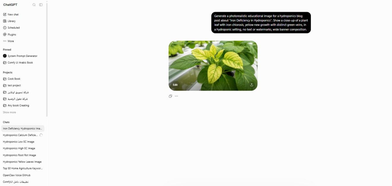 Hydroponic plant leaf showing iron chlorosis with yellow tissue and green veins