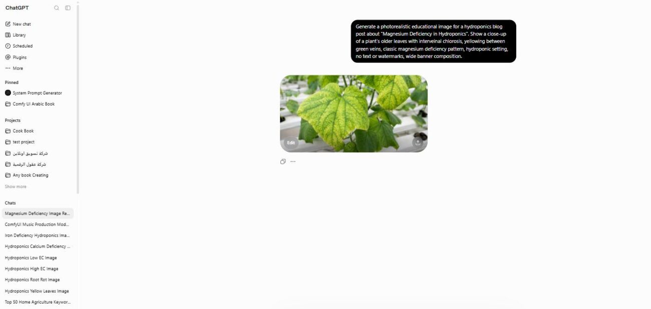 Hydroponic plant leaf showing magnesium deficiency with interveinal chlorosis on older growth
