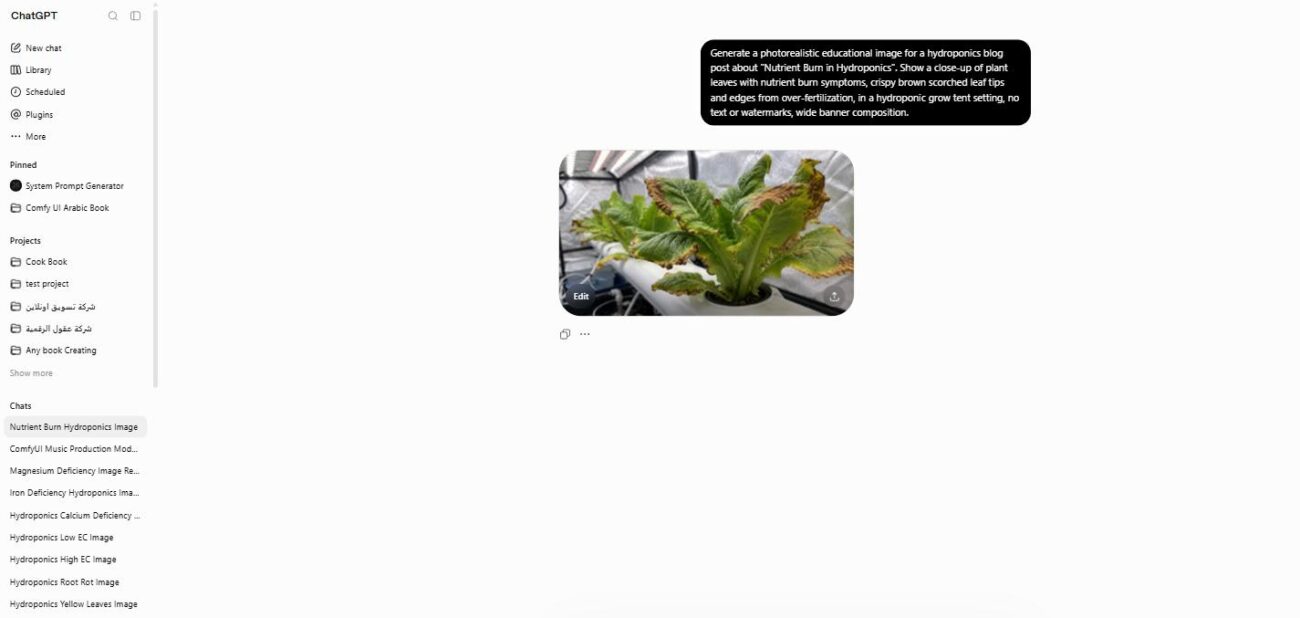 Hydroponic plant leaves showing nutrient burn with crispy brown scorched tips and edges