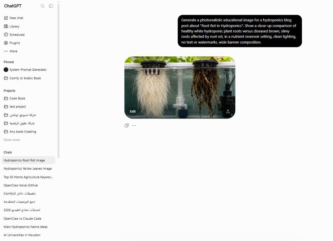 Comparison of healthy white roots and diseased brown root rot in a hydroponic reservoir