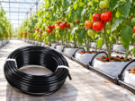 Black Low-Density Pipe – 20 Metres - Image 2